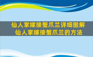 仙人掌嫁接蟹爪兰详细图解 仙人掌嫁接蟹爪兰的方法